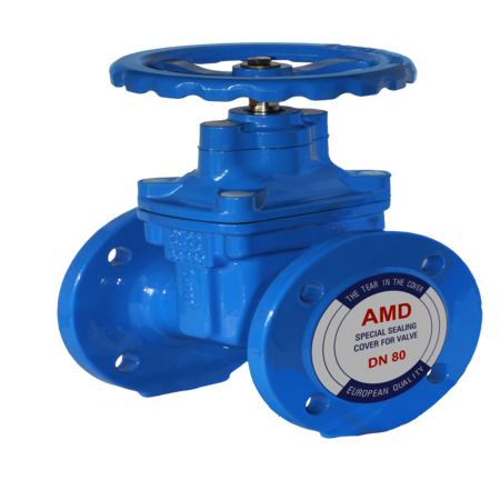 AMD IRON VALVE